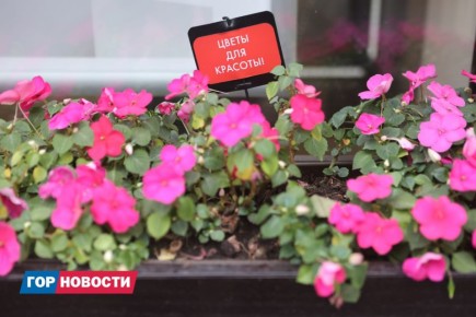 �� ���������� ������� � � ������� ������