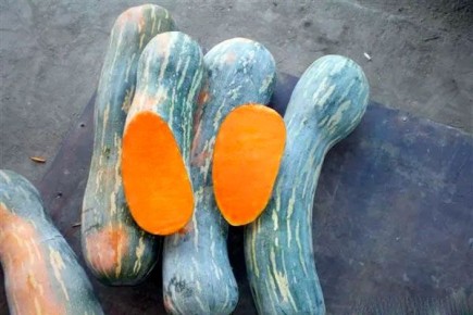 ��������� ����� ����� �� ������: ��� ����� ����� ��� ��������� �����������