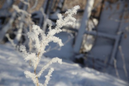 �� ������� ��������� ������� �����