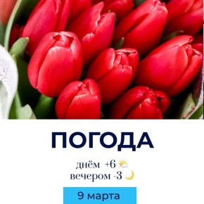 ������ �� �������. @gornovosti ����������� � �� | ����������� � ���