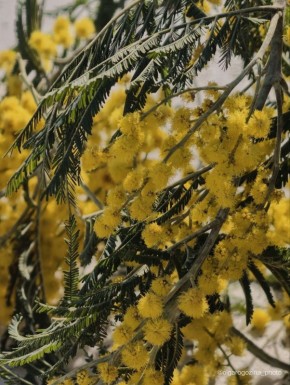 ��������� ����� � �� �����������