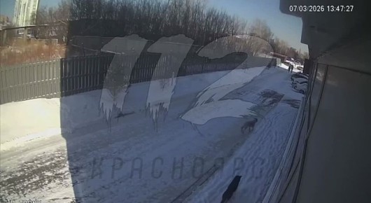 ����������� ��������� ���� ����� ��������� ������ �� �������