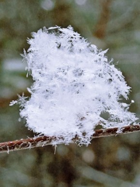 Мартовские снежинки. За фото спасибо подписчице Ирине! Читать нас можно и в MAX