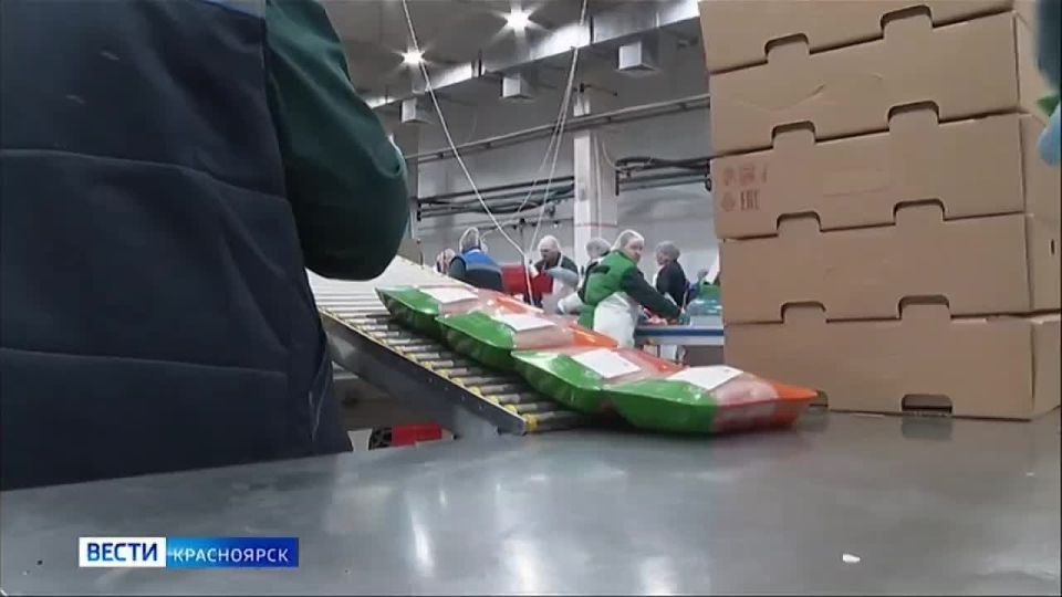 В Красноярске обсудили вопросы взаимодействия государства и бизнеса по созданию рабочих кадров