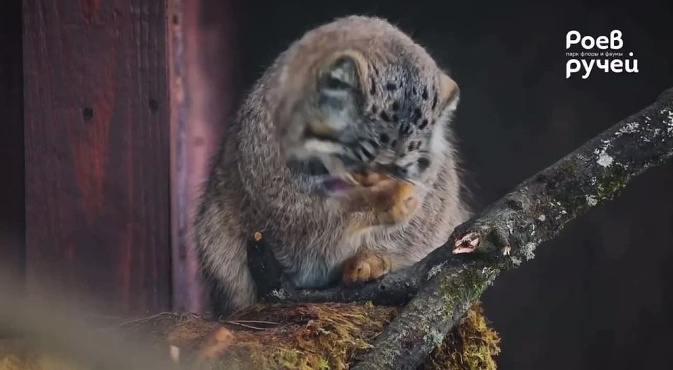 Длинные выходные подходят к концу, но это не повод для грусти