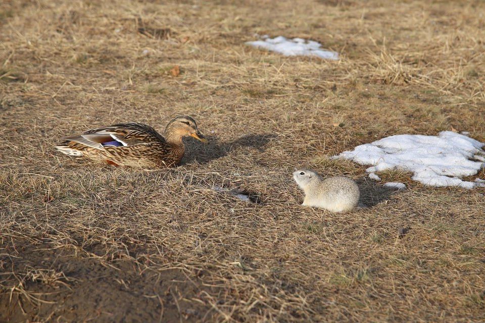 � ����������� �� ������� ������� ���������� �������