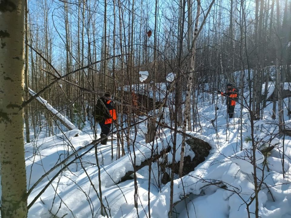 ������� ������ ��������� ������� ������������ ���������� � ������������ ����