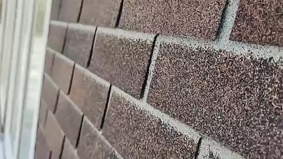 � ����� ��� �����-����ӻ�. � �������� 8 ������ ���������� ��������� ��������� ������� �� �����-������