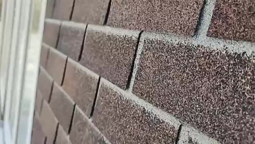 � ����� ��� �����-����ӻ�. � �������� 8 ������ ���������� ��������� ��������� ������� �� �����-������