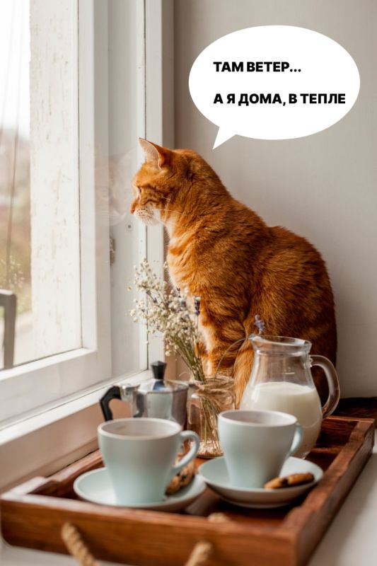 � ����������� ��������� ����� �� 20 ������ � �������