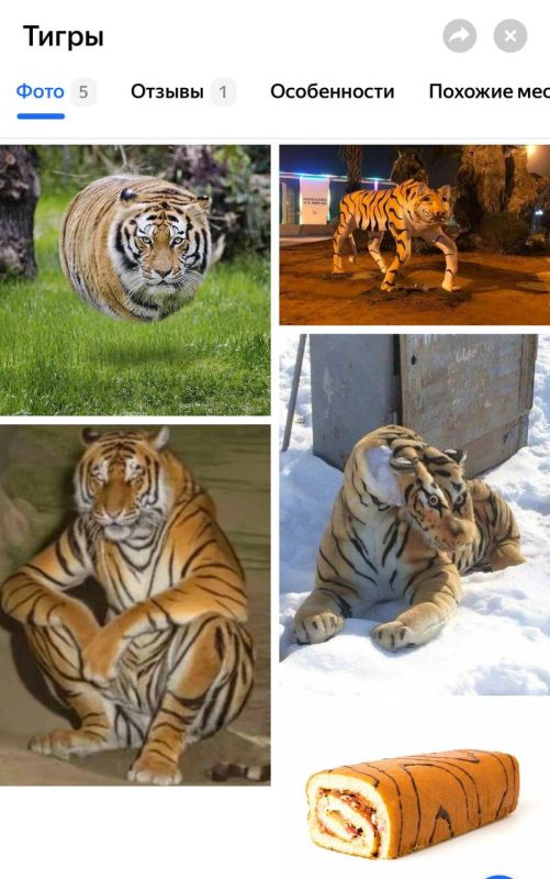 ��� ���������� ������ ������ ����� �������� � ��� ���������� �������������� ��������