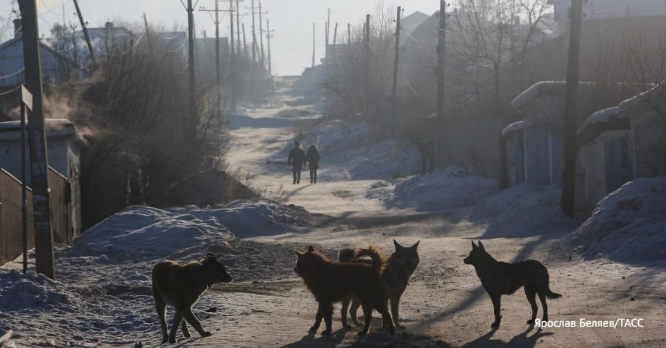 ����� ������ ������ ����������� ����������������� ������� � ������������ ���� ��������� ��� �������� ����� �� ���� � ���������� ���������� ��� ����������� ������ �������� �����, �������� ���� �� �� �������