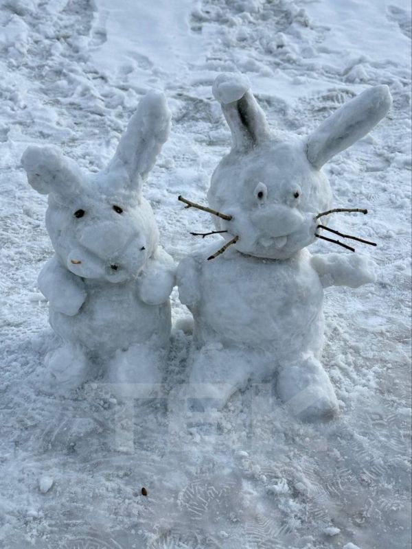 ������ ����. ��� �, ���� ���� �� ���� � ������� ���� �������� ����������� �� �����������