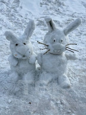 ������ ����. ��� �, ���� ���� �� ���� � ������� ���� �������� ����������� �� �����������