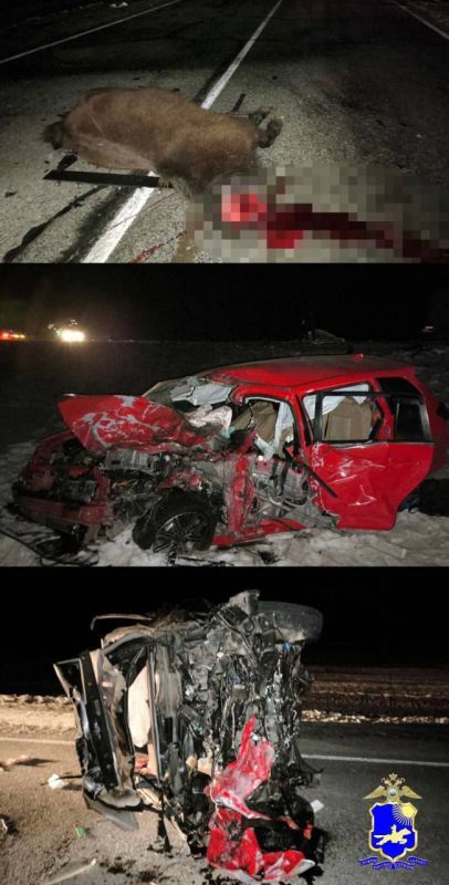 � �������� ������ �� ������ ���� 3 �������� �������, 6 �������� ������