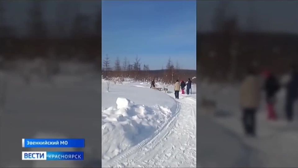 В Эвенкии прошли состязания молодых каюров