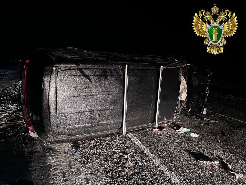 В Туве завели уголовное дело по статье «Нарушение правил дорожного движения, повлекшее гибель двух и более человек» после аварии с двумя автомобилями и лошадью