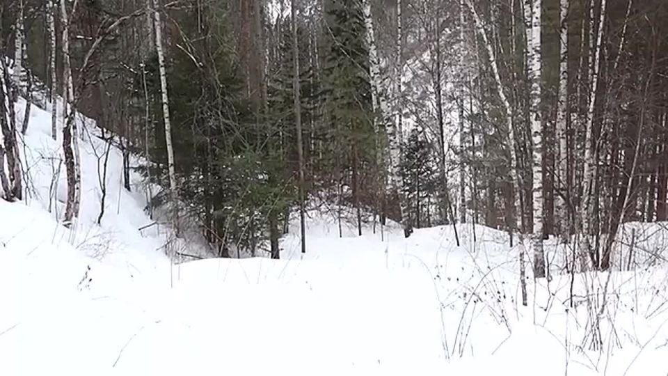 �� �������ջ ������ ���� ���� ���������� �������