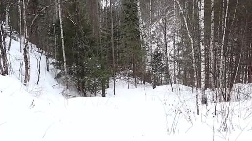 �� �������ջ ������ ���� ���� ���������� �������