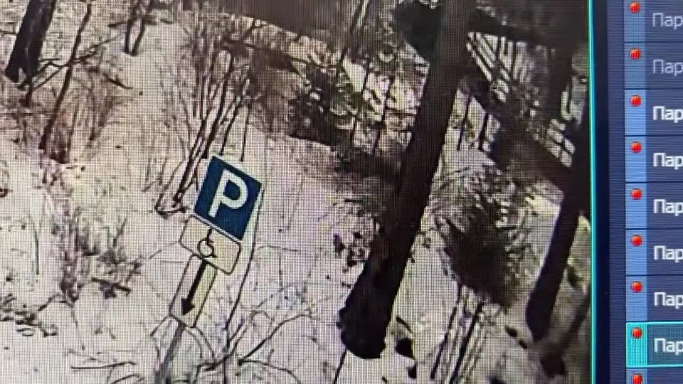 ���������� ������� ������������� ��������������� �������, ���������� �� �������