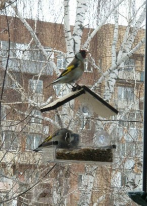 ����������� ���������� �� �����