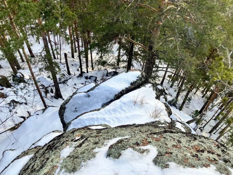 Спасатели в ходе поиска пропавшего мужчины за минувшие сутки прошли 25 километров на "Красноярских Столбах"