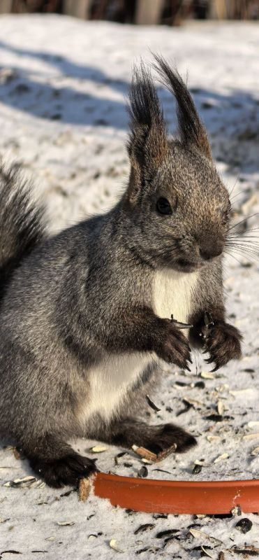 ������ ����. ��� �� ���� ��� ����� � �������� �� ���� ������� ���������� �� ���� � � ���