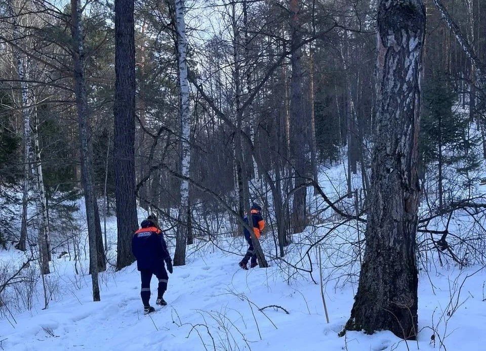 Пропавшего на «Столбах» 55-летнего мужчину не могут найти несколько дней