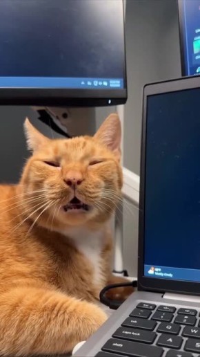 ������ ����!. ��� ����� ������, ����� ������ �� ������ � ��� ����� ������ �� ���� �������� �����