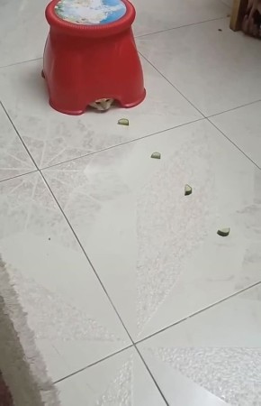 ����������� ������-��������