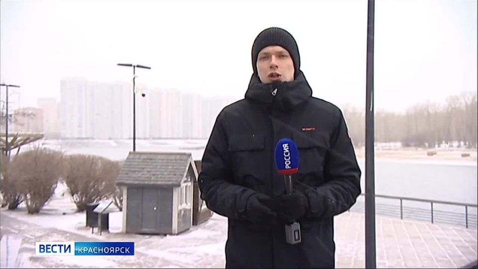 Российские учёные подвели итоги переписи воробьёв