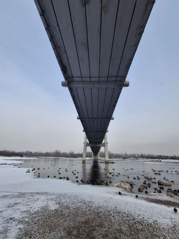 Доброе утро!. Фото: Кирилл Макаров #ВестиКрасноярск