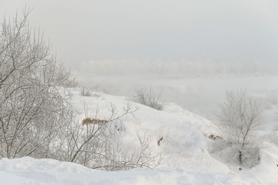 � ������� ������� ���� ���� ������� � 50-������� ������� � ��� 4-������� ����