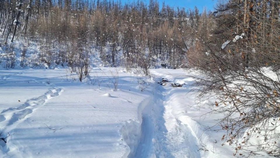 ���� ��������� ���� � ���� ����� � 50 ���������� �� ������� � ������������ ����