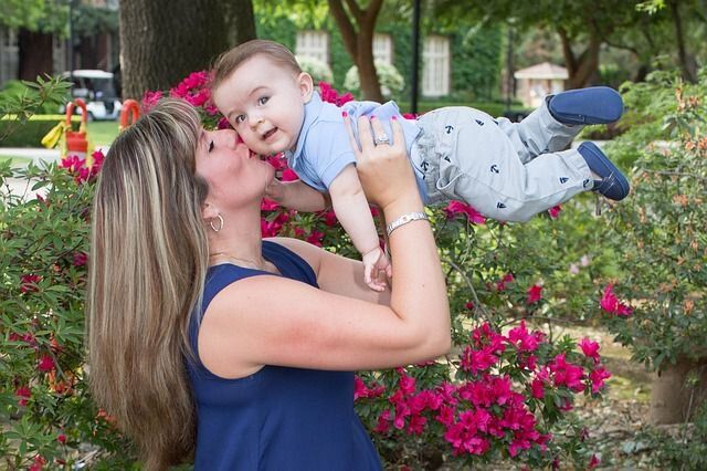 ����������� � ��������: ��������� � ������������