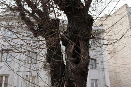 � ������ ����������� ����� ���������������� ����� ������� ��������� ��������