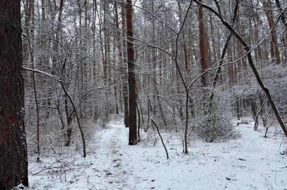 ��������� ����������: ���� � 4-������ ��� ������� � ������������ �����