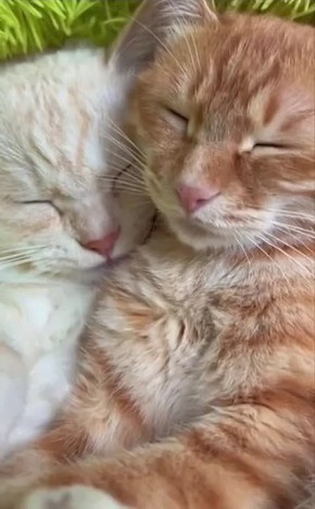 Доброе утро воскресенья. ТВК