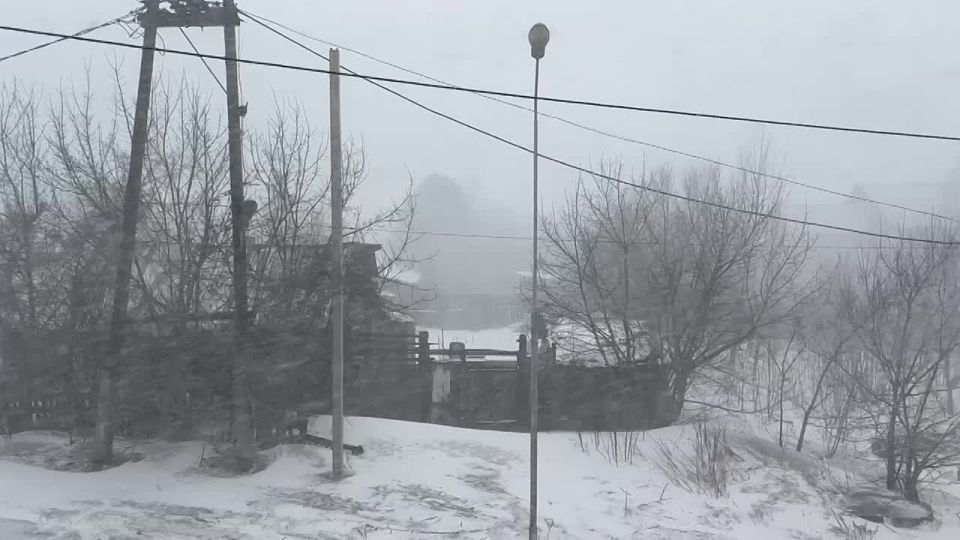 ������ �� ������: � ����������� ������������ �� -17 �� +4 ��������