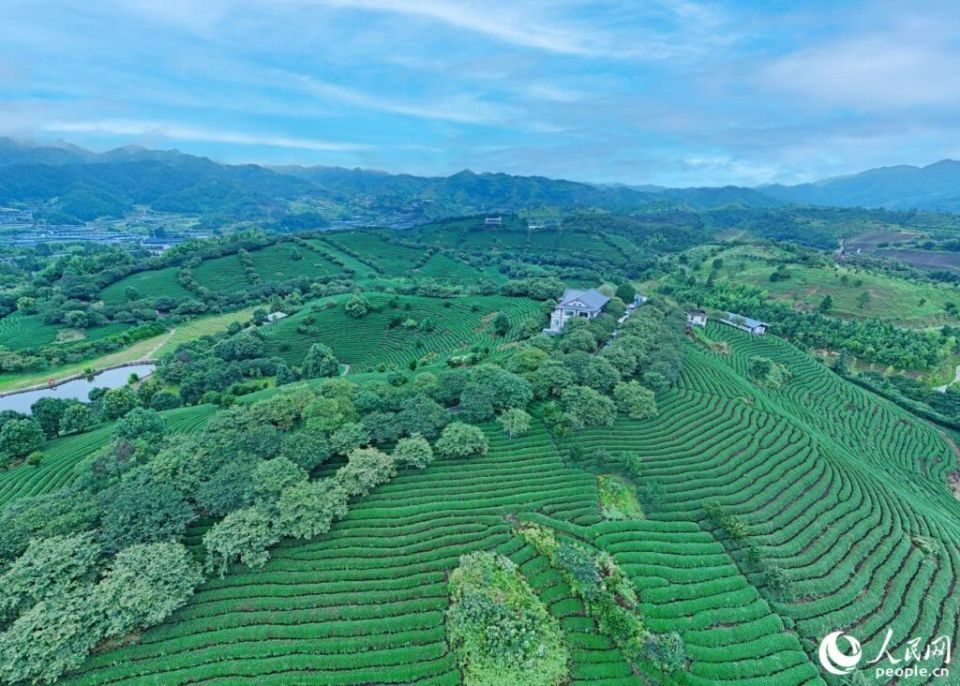 ��������� ������� � ���: �� ������ �� �����