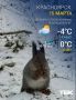 Погода на 15 марта. Днём 0°С Читать нас можно и в MAX
