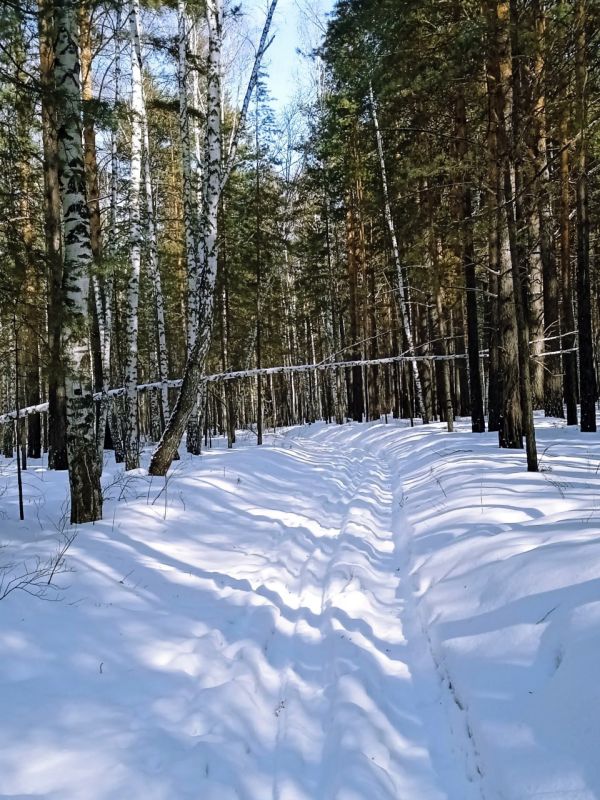 ����� ���� �� ����� �����. �� ���� ������� ���������� �����! ������ ��� ����� � � MAX