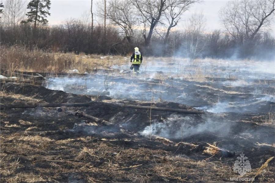В Красноярском крае произошел первый в году ландшафтный пожар В Красноярском крае произошел первый в году ландшафтный пожар