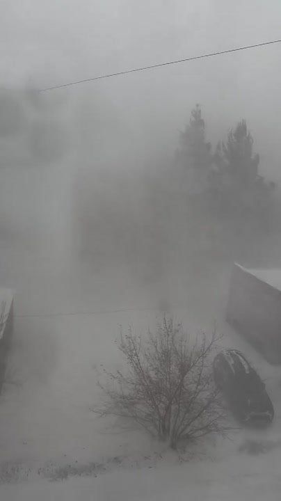 ����� � ������ ����� �����