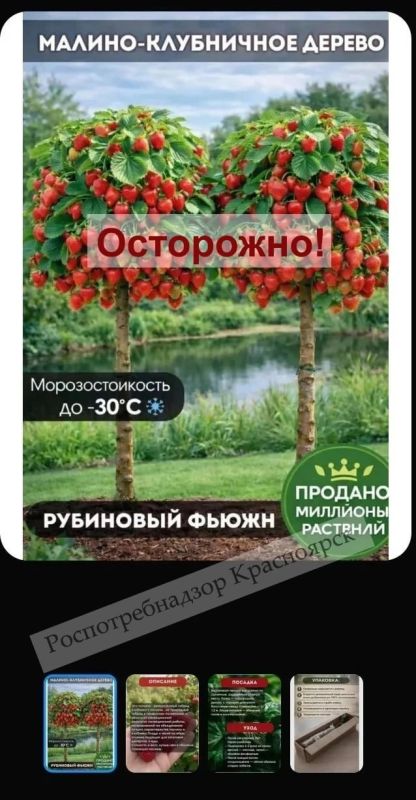 ��������������� ����������� ����������� � ������������� ������ ��������