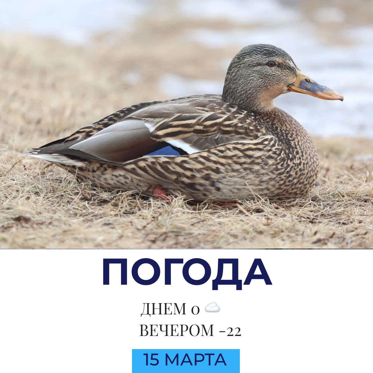 Погода на сегодня. @gornovosti