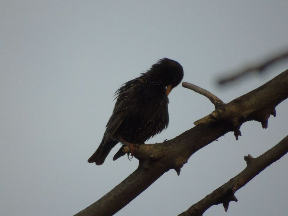 �������� - ����� �����!�, � ���������� � ������������ ������ ������������� ����