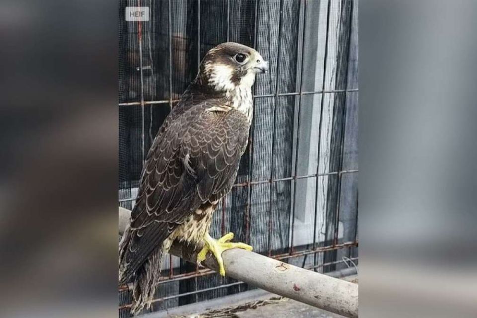 ���������� ������ ��������� �� ������� ����� � ������ ��� ��������� ����