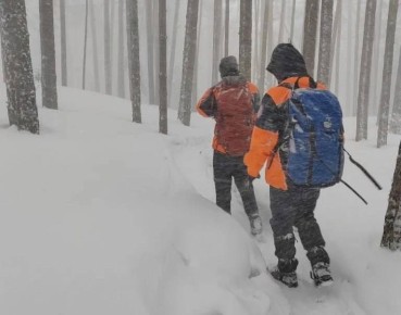 Спасатели седьмые сутки разыскивают пропавшего на Столбах мужчину
