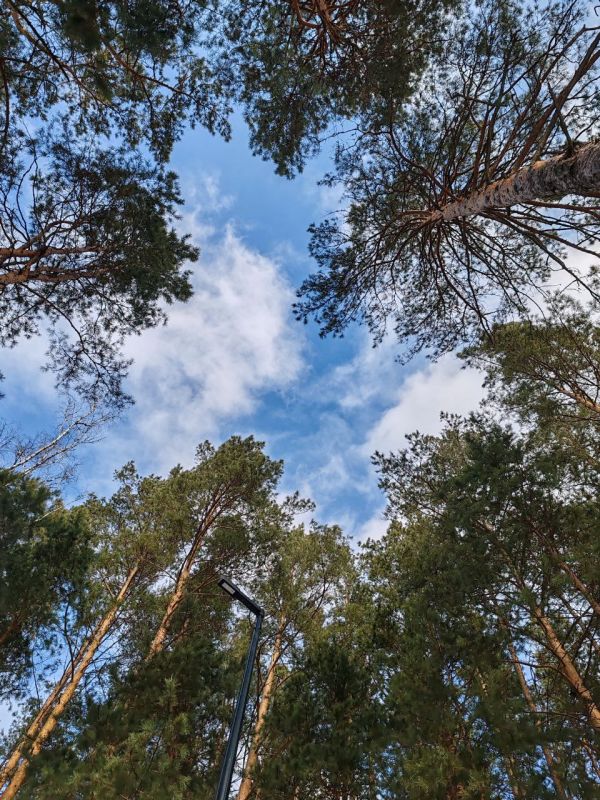 ������ ����!. #���������������